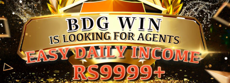 bdg-win-app